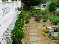 I have 11 yellow hibiscus that line the deck and the side walk.  We put them back in the greenhouse for the winter.