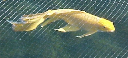 Sunny turned 26, the spring of 2010